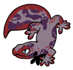 12113-Gecko-1-2-34-06159-05025-029.png