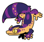 12117-Gecko-2-2-37-08027-07041-111.png