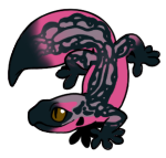 12120-Gecko-1-4-43-02060-01029-168.png