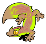 12121-Gecko-2-2-19-02130-01165-092.png