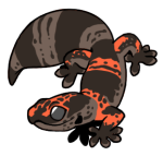 12123-Gecko-1-3-95-07019-06135-125.png