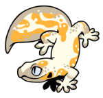 12129-Gecko-1-4-28-06131-05114-001.png