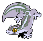 12133-Gecko-2-2-39-09085-08029-007.png