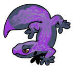 12134-Gecko-1-2-15-01036-01033-057.png