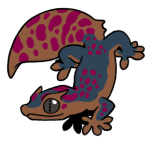 12136-Gecko-2-2-12-10171-09059-145.png
