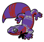 12137-Gecko-1-3-95-07038-06162-010.png
