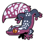 12138-Gecko-2-2-13-10006-09057-173.png