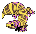 12141-Gecko-1-2-12-05105-04035-138.png