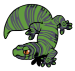 12142-Gecko-1-2-13-05087-04023-013.png