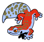12145-Gecko-1-2-22-10100-09151-055.png