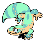 12148-Gecko-1-4-28-08068-07073-110.png