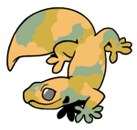 12149-Gecko-1-3-94-11111-10084-113.png