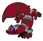 12155-Gecko-2-2-02-07158-06153-070.png