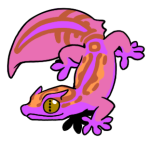 12158-Gecko-2-2-39-09127-08119-035.png