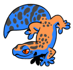 12159-Gecko-1-2-23-10018-09119-052.png