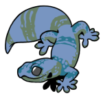 12160-Gecko-1-3-95-07056-06085-064.png