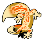 12161-Gecko-1-4-43-02109-01123-102.png