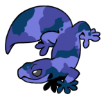 12162-Gecko-1-1-95-11044-10062-043.png