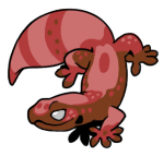 12163-Gecko-1-1-92-08163-07165-147.png