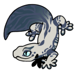 12164-Gecko-1-2-32-03057-02059-003.png