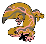 12165-Gecko-1-2-15-12166-11133-102.png