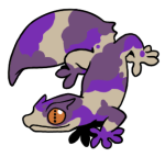 12166-Gecko-2-2-13-11028-10037-131.png