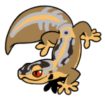 12168-Gecko-1-2-25-09009-08019-111.png