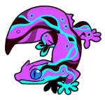 12169-Gecko-2-1-77-12066-11156-035.png
