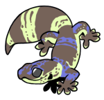 12170-Gecko-1-3-95-07135-06094-043.png