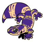 12171-Gecko-1-3-96-07040-06110-101.png