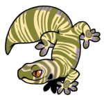 12172-Gecko-1-2-13-05097-04030-109.png