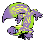 12174-Gecko-1-2-29-02033-01106-091.png