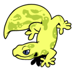 12175-Gecko-1-2-35-06106-05095-106.png