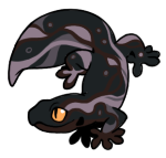 12176-Gecko-1-4-24-12140-11029-021.png