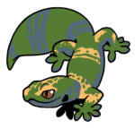 12177-Gecko-1-2-16-07086-06058-111.png