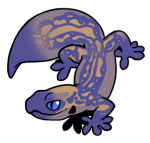 12179-Gecko-1-2-30-02042-01130-029.png