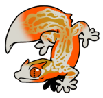 12180-Gecko-2-2-20-02003-01102-123.png