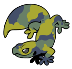 12181-Gecko-1-1-95-11096-10057-085.png