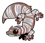 12186-Gecko-2-2-27-05136-04164-006.png