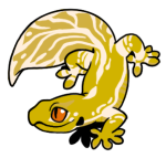 12187-Gecko-1-4-22-03002-02113-103.png