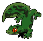 12189-Gecko-2-2-25-06086-05081-079.png