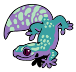 12192-Gecko-1-4-08-10072-09069-033.png