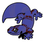 12193-Gecko-1-3-96-07044-06042-157.png