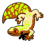 12194-Gecko-1-2-23-10092-09109-121.png