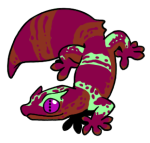 12195-Gecko-2-2-03-07171-06149-089.png