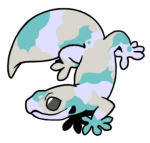 12196-Gecko-1-3-95-11003-10068-007.png