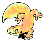 12335-Gecko-1-2-37-06094-05105-118.png