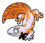 1243-Gecko-1-3-32-03116-02148-007.png