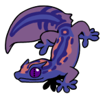 1245-Gecko-2-2-66-09045-08165-044.png