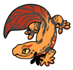 12513-Gecko-1-2-37-03018-02150-117.png